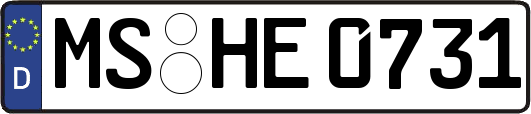 MS-HE0731