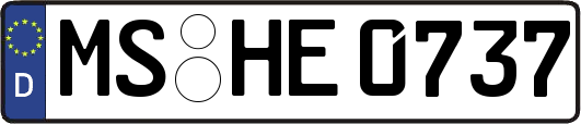 MS-HE0737