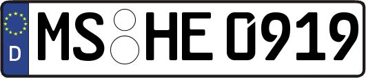 MS-HE0919