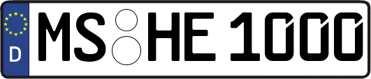 MS-HE1000