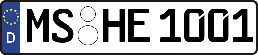 MS-HE1001
