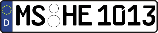 MS-HE1013