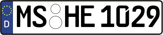 MS-HE1029
