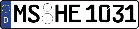 MS-HE1031
