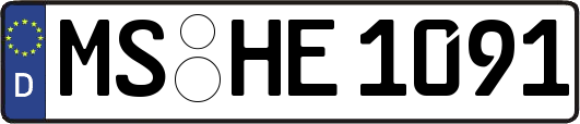 MS-HE1091