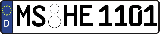 MS-HE1101