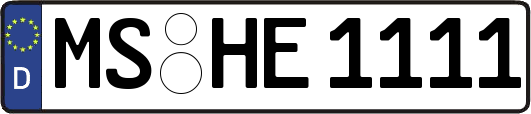 MS-HE1111