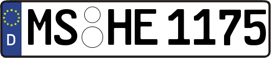 MS-HE1175