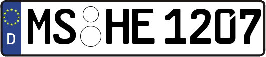 MS-HE1207