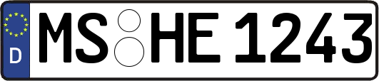 MS-HE1243