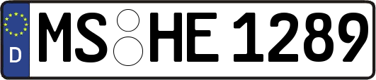 MS-HE1289