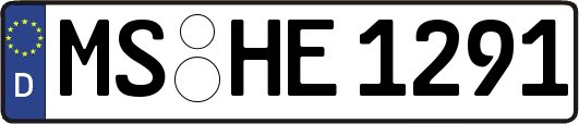 MS-HE1291