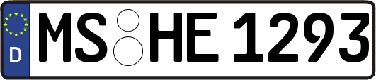 MS-HE1293