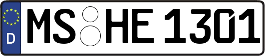 MS-HE1301