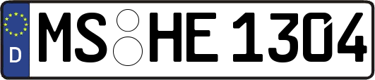 MS-HE1304