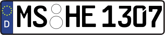 MS-HE1307