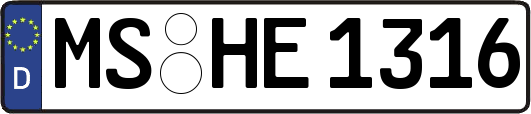 MS-HE1316