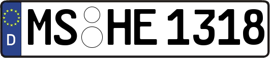 MS-HE1318