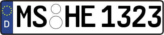 MS-HE1323
