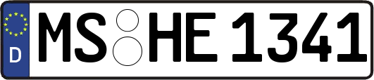 MS-HE1341