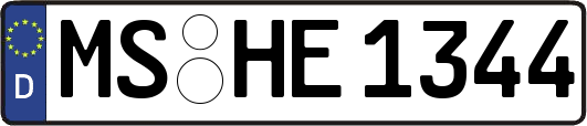 MS-HE1344