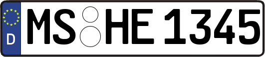 MS-HE1345