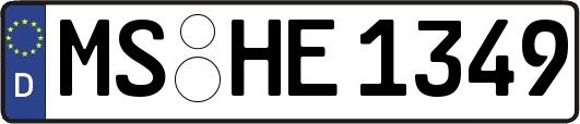 MS-HE1349