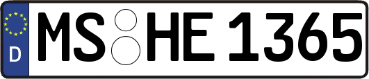 MS-HE1365