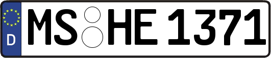 MS-HE1371