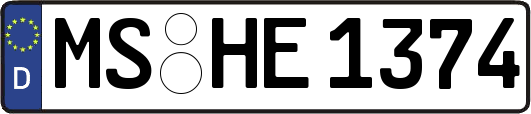MS-HE1374