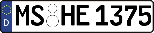 MS-HE1375