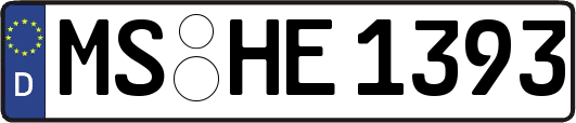 MS-HE1393