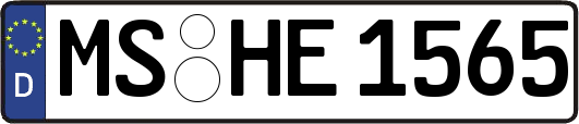 MS-HE1565