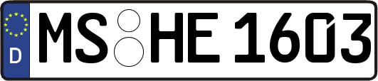 MS-HE1603