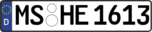 MS-HE1613