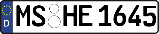 MS-HE1645