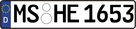 MS-HE1653