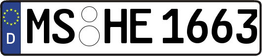 MS-HE1663
