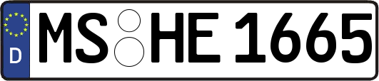 MS-HE1665