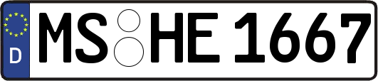 MS-HE1667