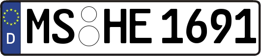 MS-HE1691