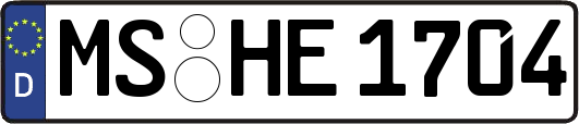 MS-HE1704