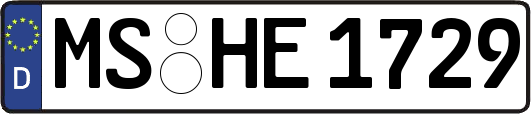 MS-HE1729