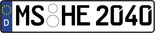 MS-HE2040