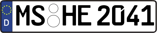 MS-HE2041