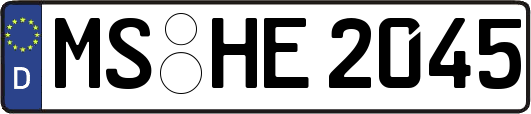 MS-HE2045