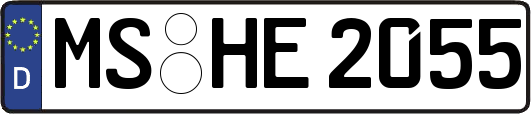 MS-HE2055