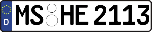 MS-HE2113