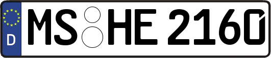 MS-HE2160