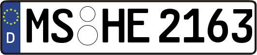 MS-HE2163